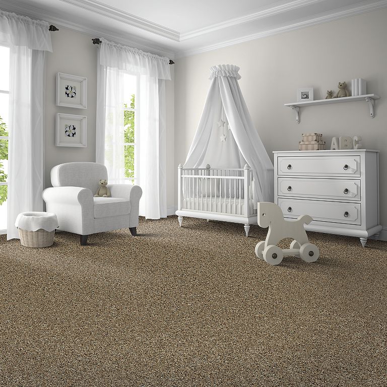 Mohawk Exquisite Character - Folkstone Carpet