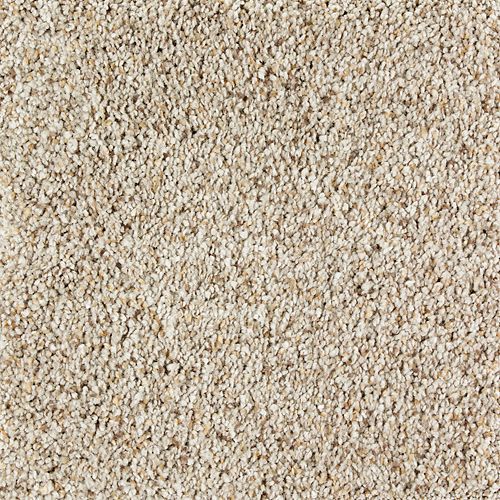 Mohawk Exquisite Style - Jack Rabbit Carpet