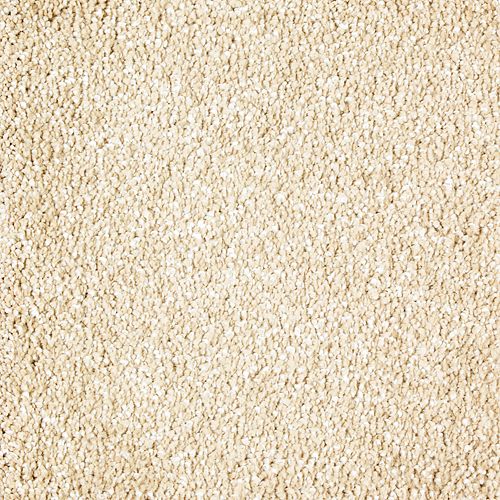 Mohawk Exquisite Tones - Georgian Carpet