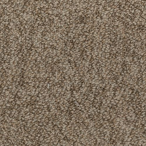 Mohawk Fantastic Variety - Kodiak Carpet