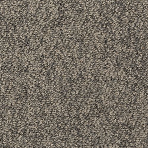 Mohawk Fantastic Variety - Notion Carpet