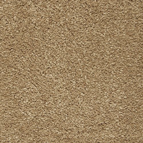 Mohawk Gentle Approach - Tortoise Comb Carpet