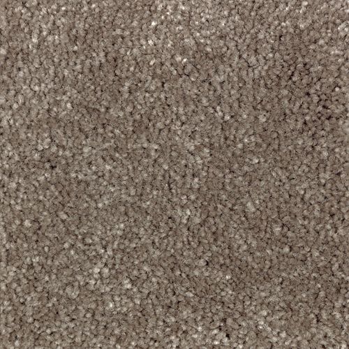Mohawk Homefront III - Coco Mocha 12FT Carpet