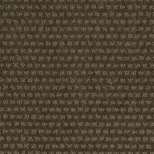 Mohawk Natural Intuition - Earthworks Carpet