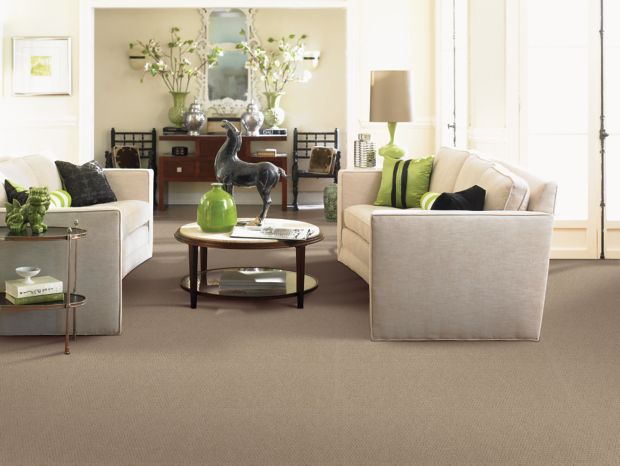 Mohawk Natural Intuition - Worn Leather Carpet