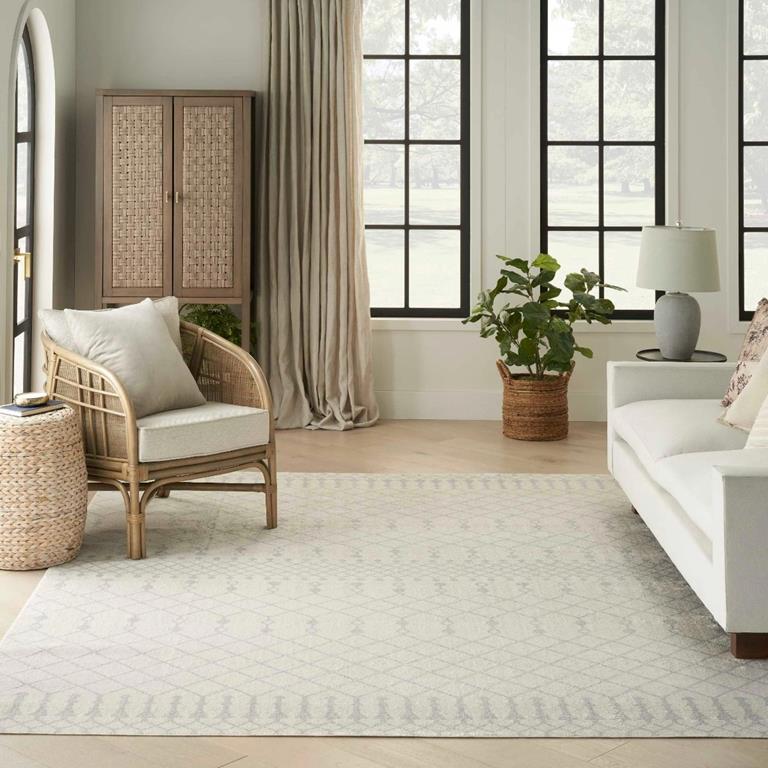 Nourison Astra Machine Washable ASW10 Ivory Area Rug |Carpetmart