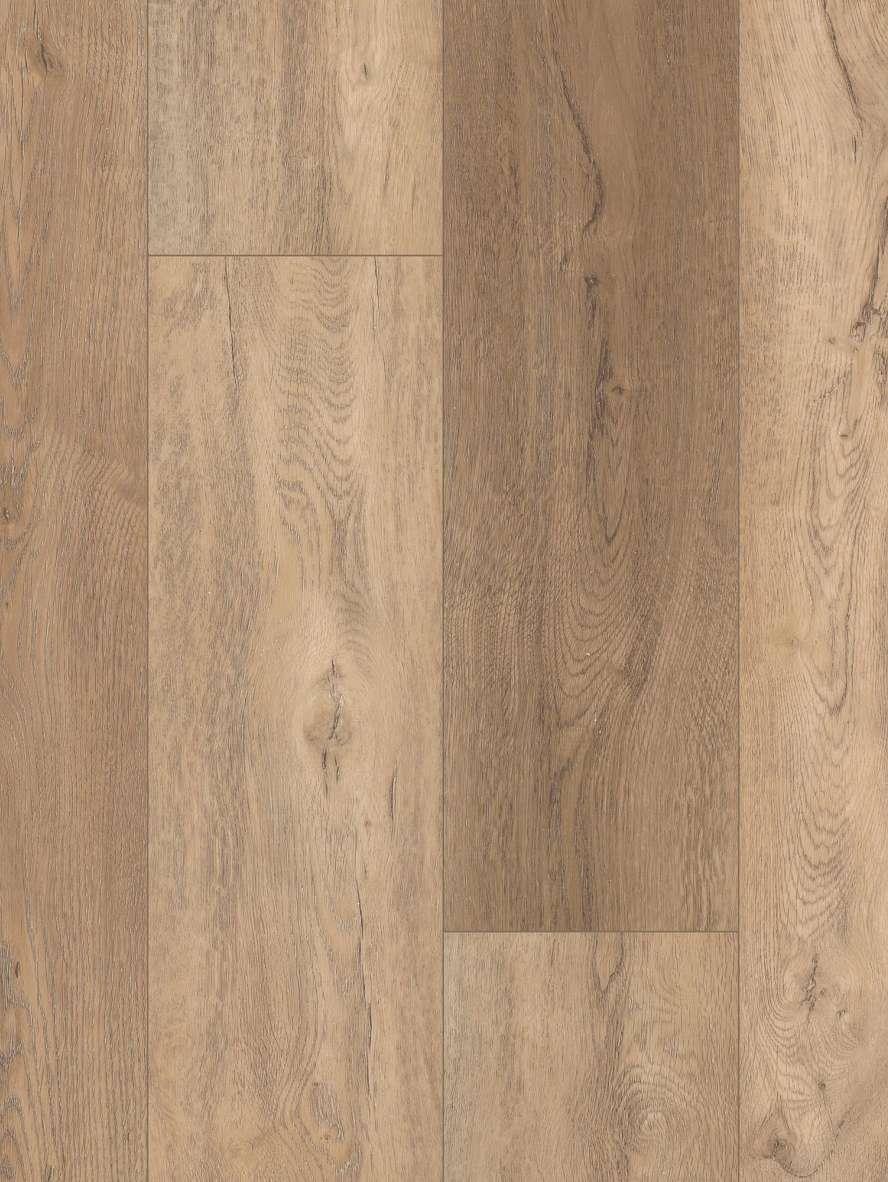 Shaw Pantheon HD Plus 2001V 00282 Foresta 7" X 48" Luxury Vinyl Plank Product Image