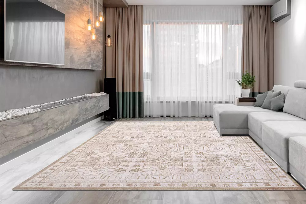 _ Rumy Dynamic Rugs Sahara 5970-890 Beige Grey Area Rug