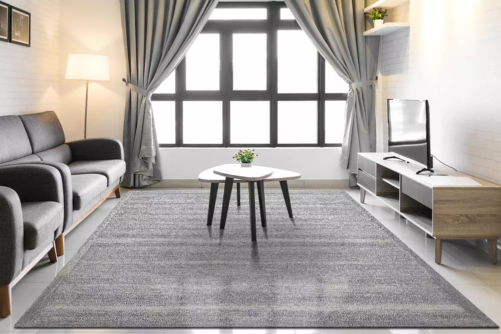 Dynamic Rugs Echo Area Rug