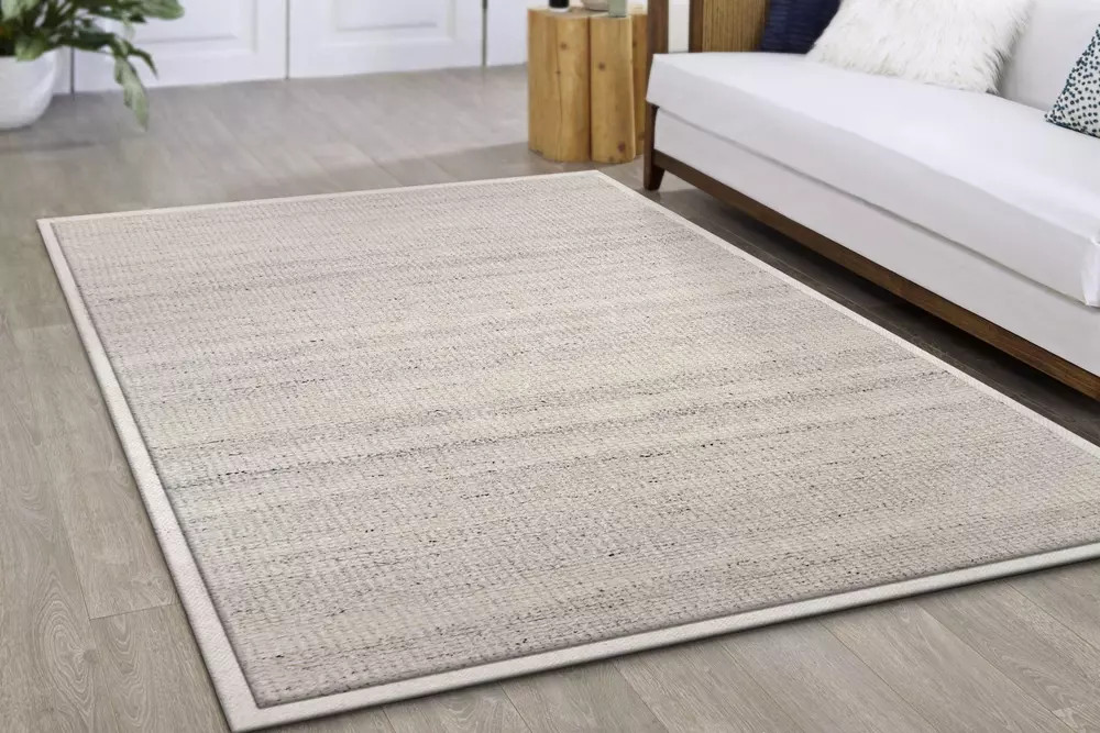 Dynamic Rugs Ivy 6990-190 Ivory Silver Area Rug | Carpetmart.com
