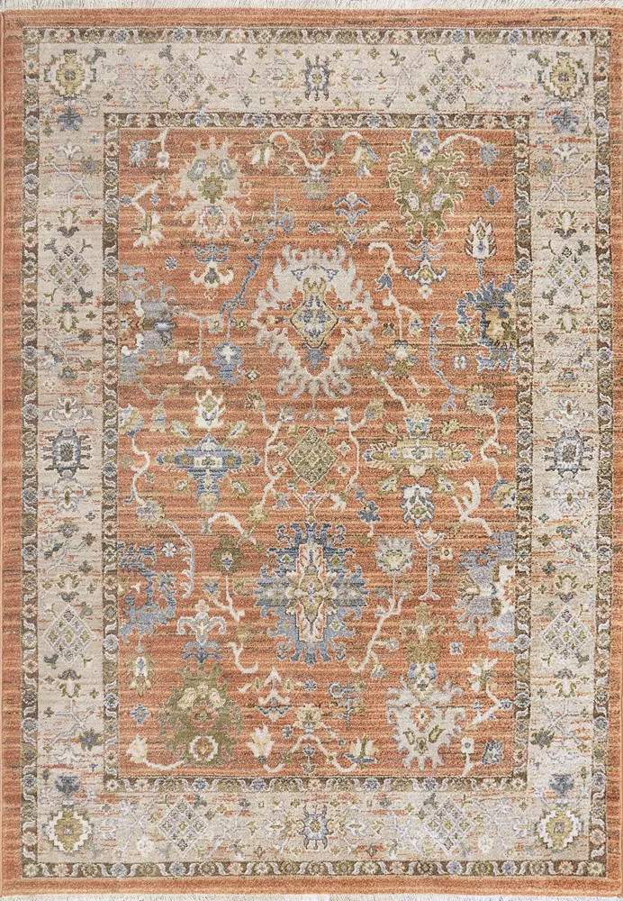 Dynamic Rugs Juno 6885-619 Rust Ivory Multi Area Rug | Carpetmart