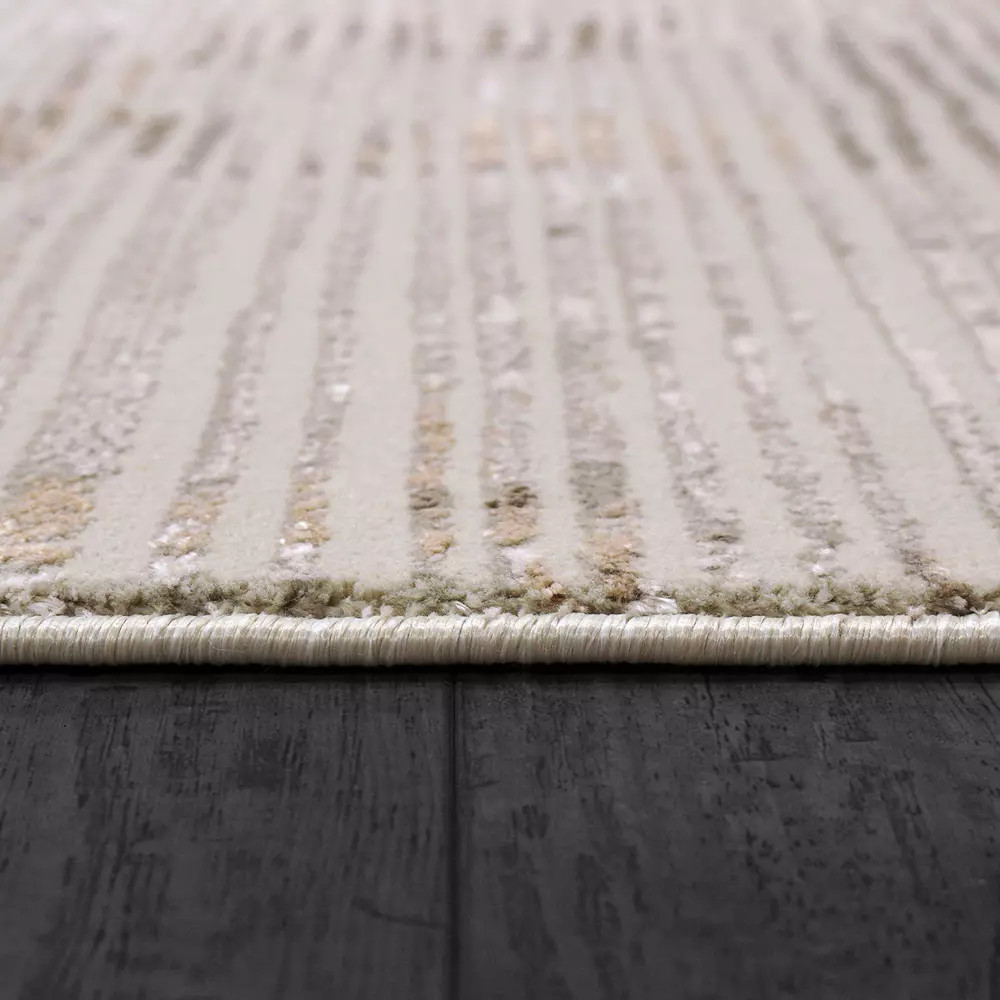 Dynamic Rugs Renaissance 3153-190 Ivory Grey Area Rug | Carpetmart