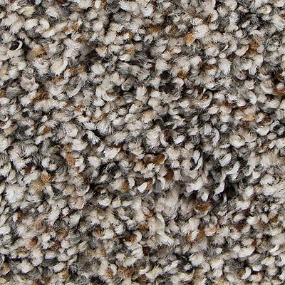 Mohawk Ideal Harmony - Foxtail Carpet