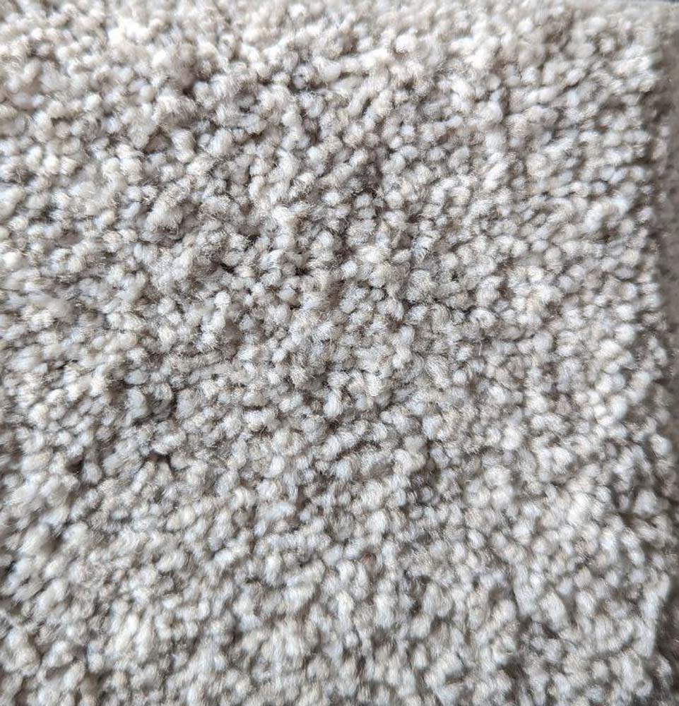 Dreamweaver Crown Garden II - Essence Carpet | Carpetmart.com