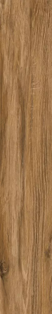 Aspen Noce 6