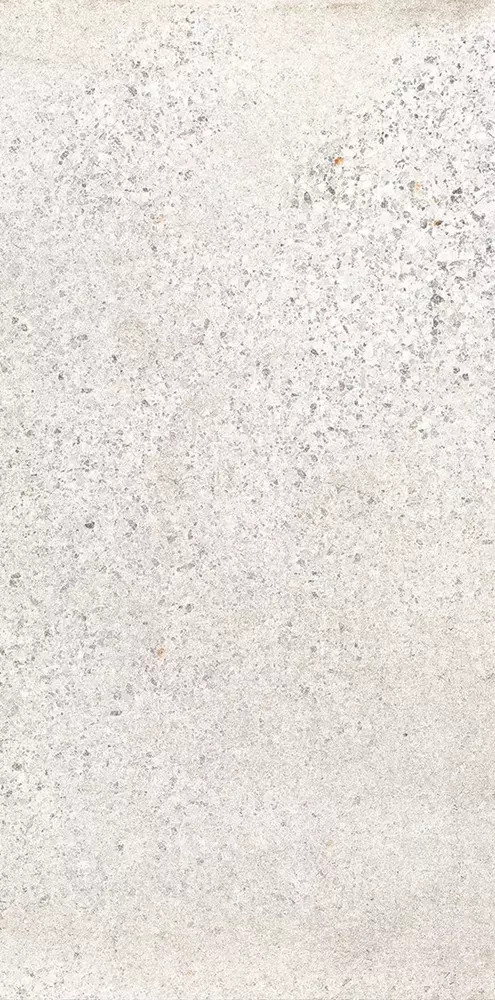 Sicily Catania 24" X 48" Polished Porcelain Tile