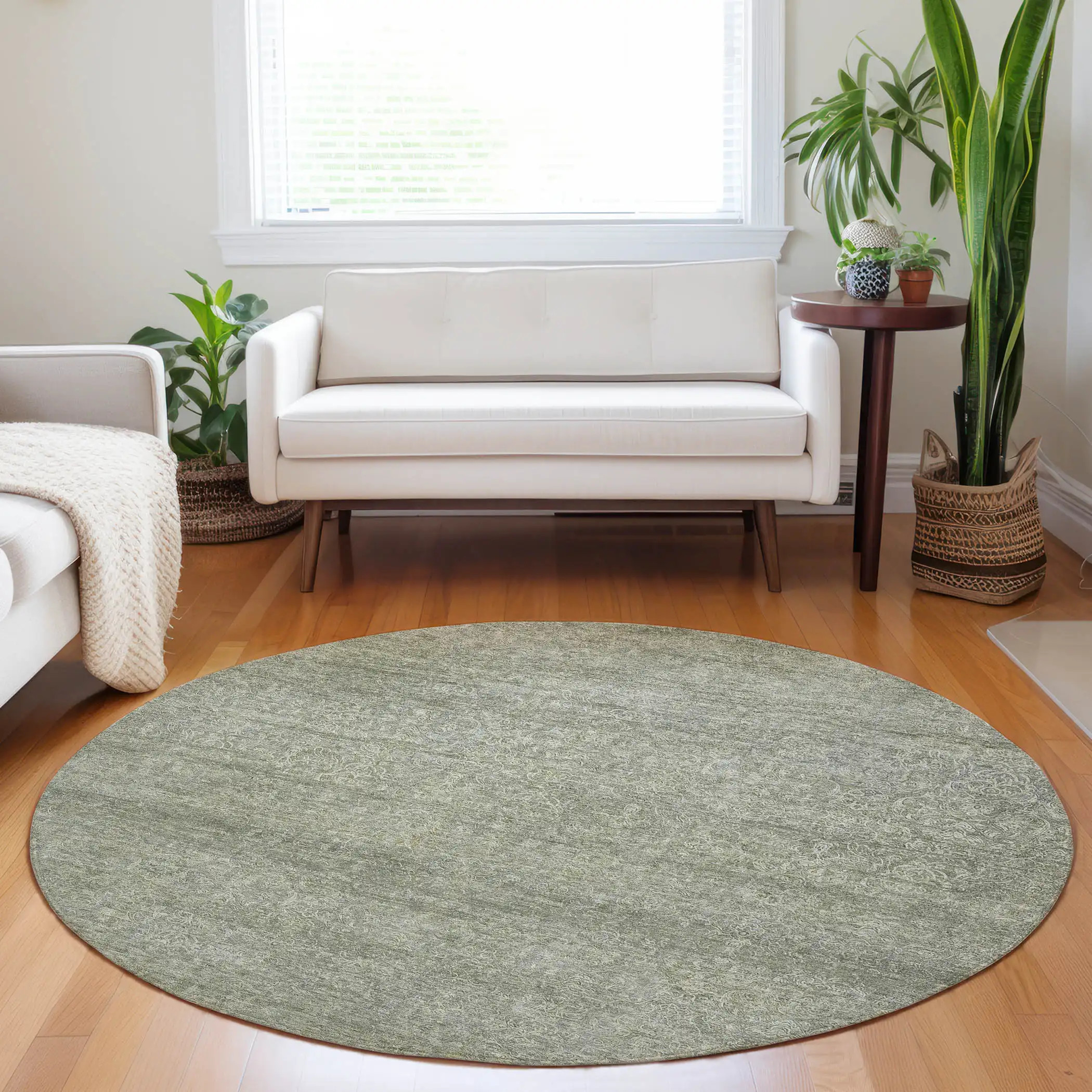 Dalyn Burano BU1 Sage Area Round Rug Room Scene
