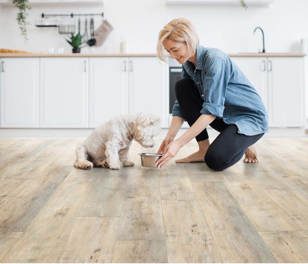 Stanton Nuvo Max 8 Hickory Lake 75301 Celestial 8" X 48" 12 MM Laminate Flooring Room Scene