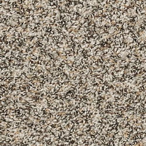 Mohawk Best Furiends I - Pebble Trail Carpet Swatch