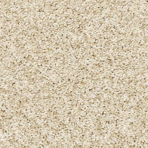Mohawk Bon A Pet Treat II - Frosted Almond Carpet Swatch