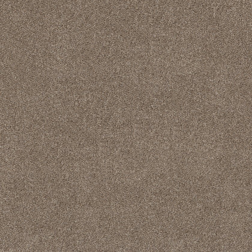 Shaw Grand Outlook - Hearth Stone Carpet Swatch