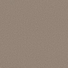 Shaw Blended Touch II - Wool Blend Carpet Swatch