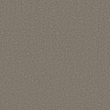 Shaw Blended Touch II - Houndstooth Carpet Swatch