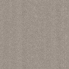 Shaw Blended Touch II  - Pebble Stone Carpet Swatch