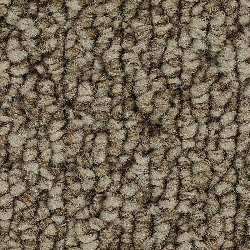 Mohawk Cozy Classic - Ancient Treasure Carpet Swatch