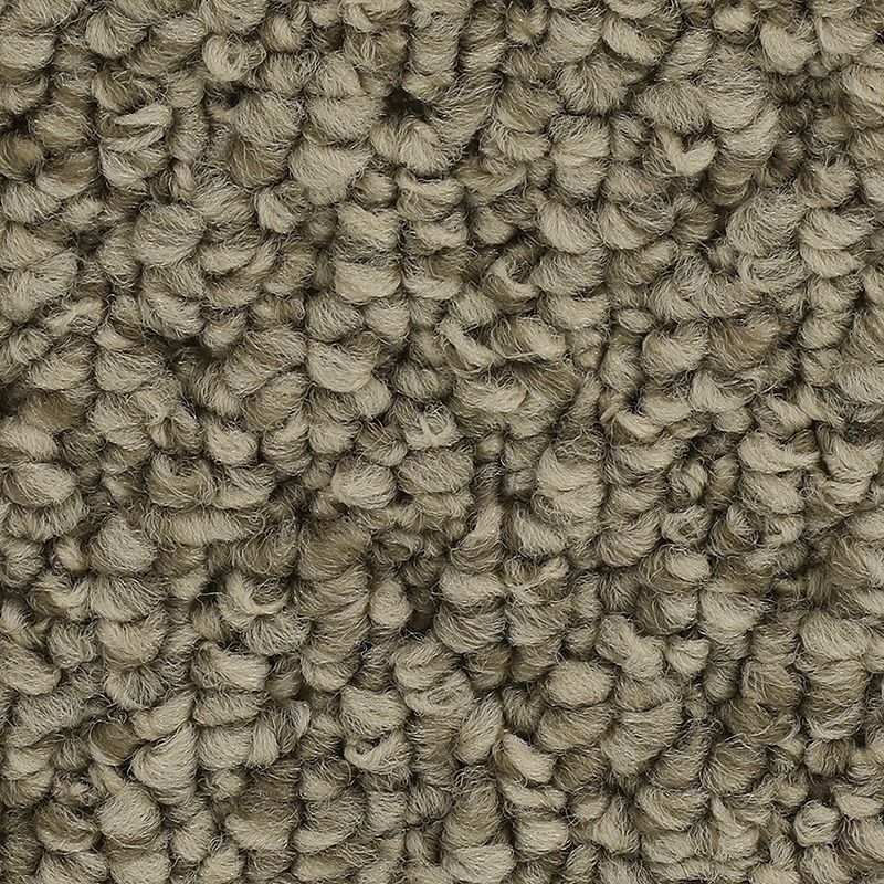 Mohawk Cozy Classic - Mushroom Carpet Swatch
