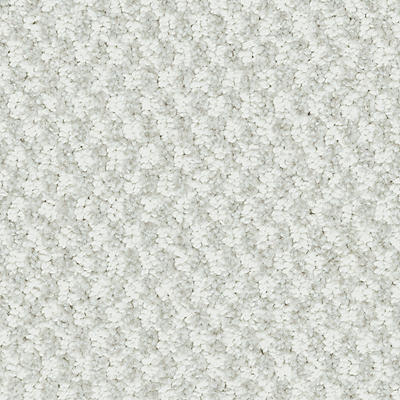 Karastan Striking Pose - Artic Air Carpet Swatch