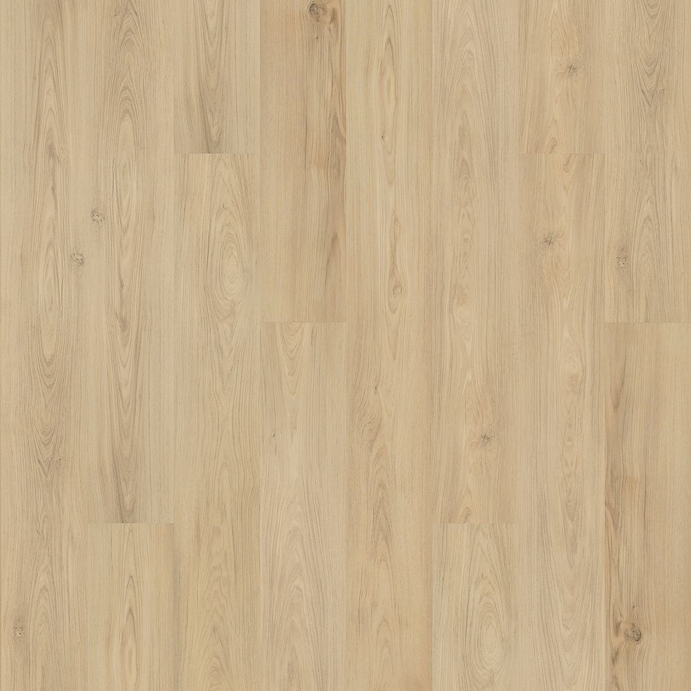 96paleco【パレ子 DAMNGOOD!! Ver.】 Mohawk Barker Hollow Hazel 237 7 1/2