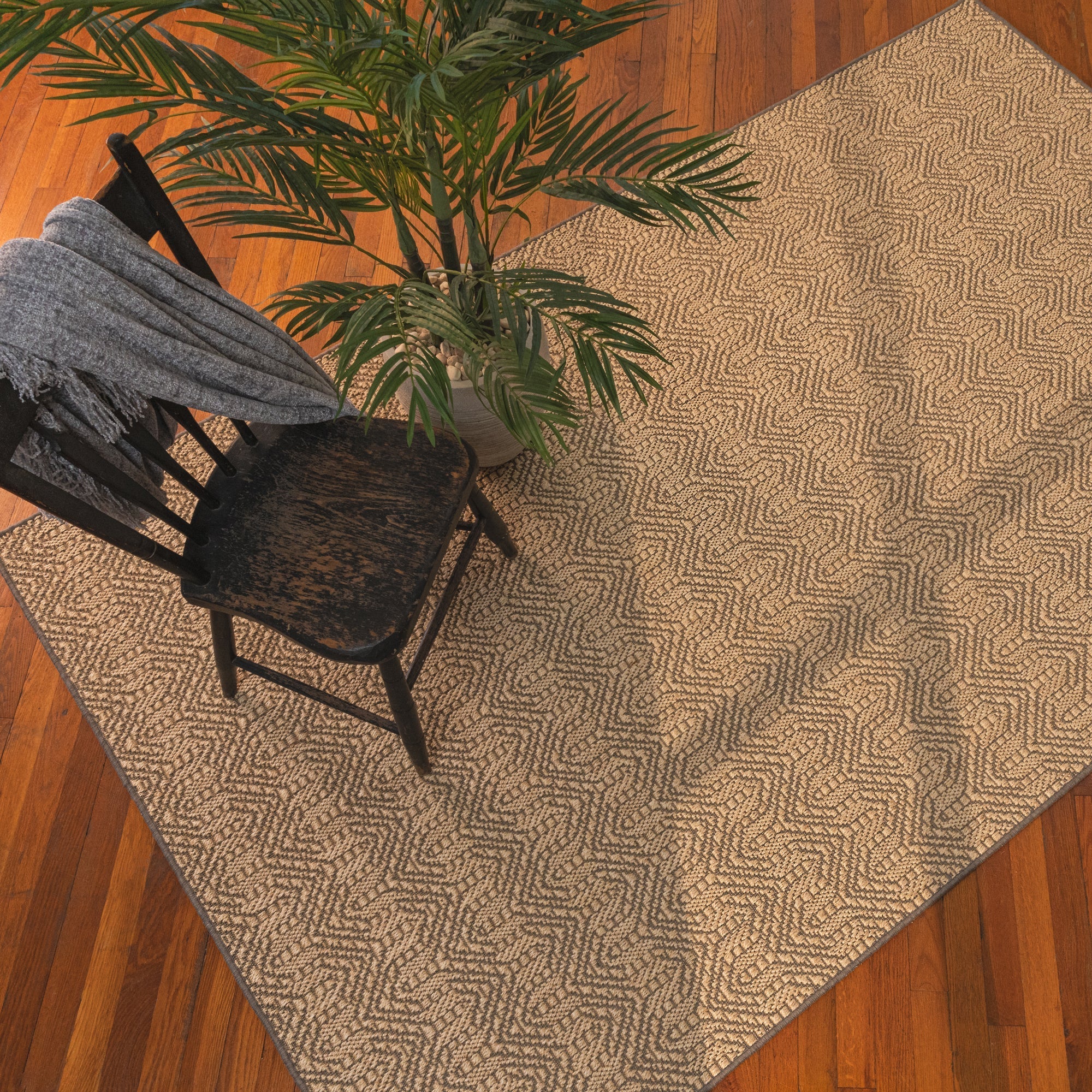 Capel Anton 2208 Sand Area Rug Room Scene