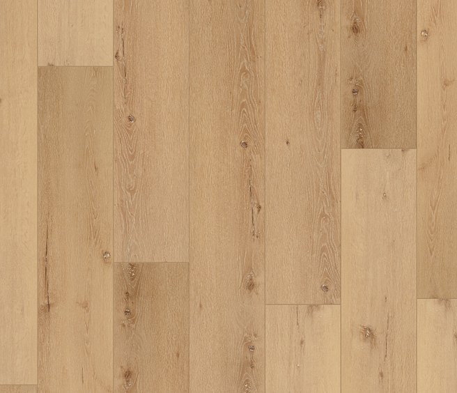 COREtec Pro Plus XL Enhanced VV491 2956 Cairo Oak 9" X 73" Luxury Vinyl Plank Swatch