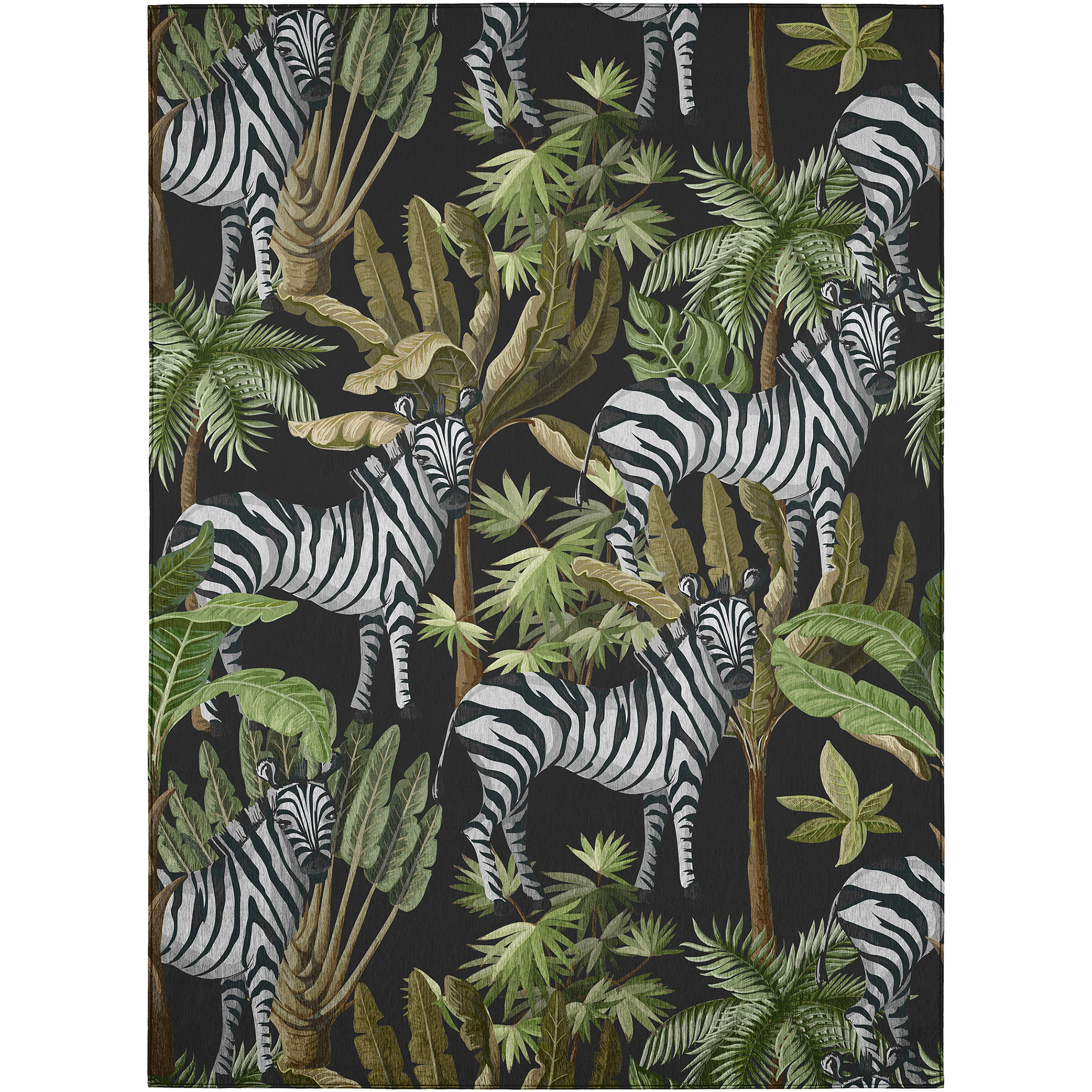 Dalyn Tropics TC13 Black Area Rug