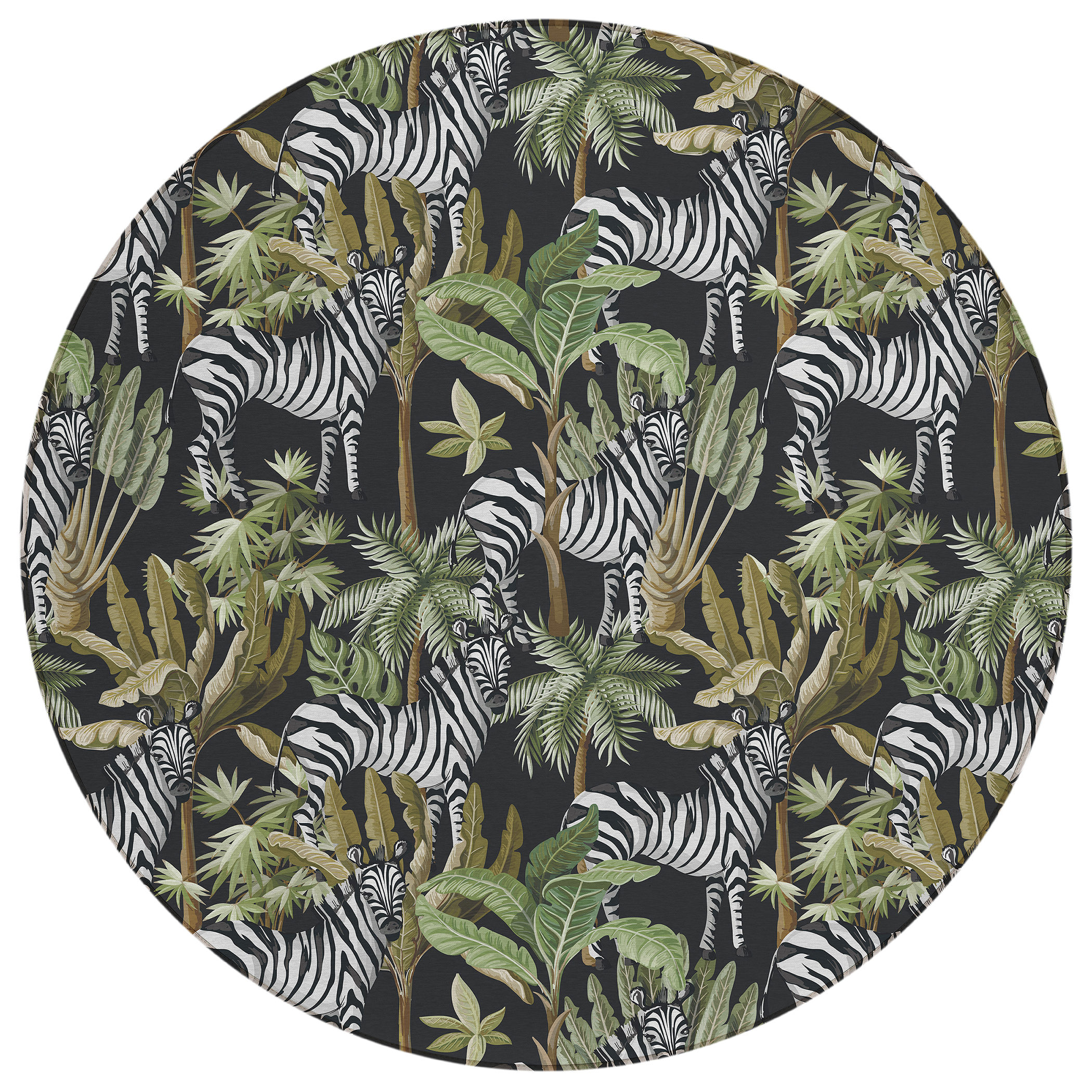 Dalyn Tropics TC13 Black Area Round Rug