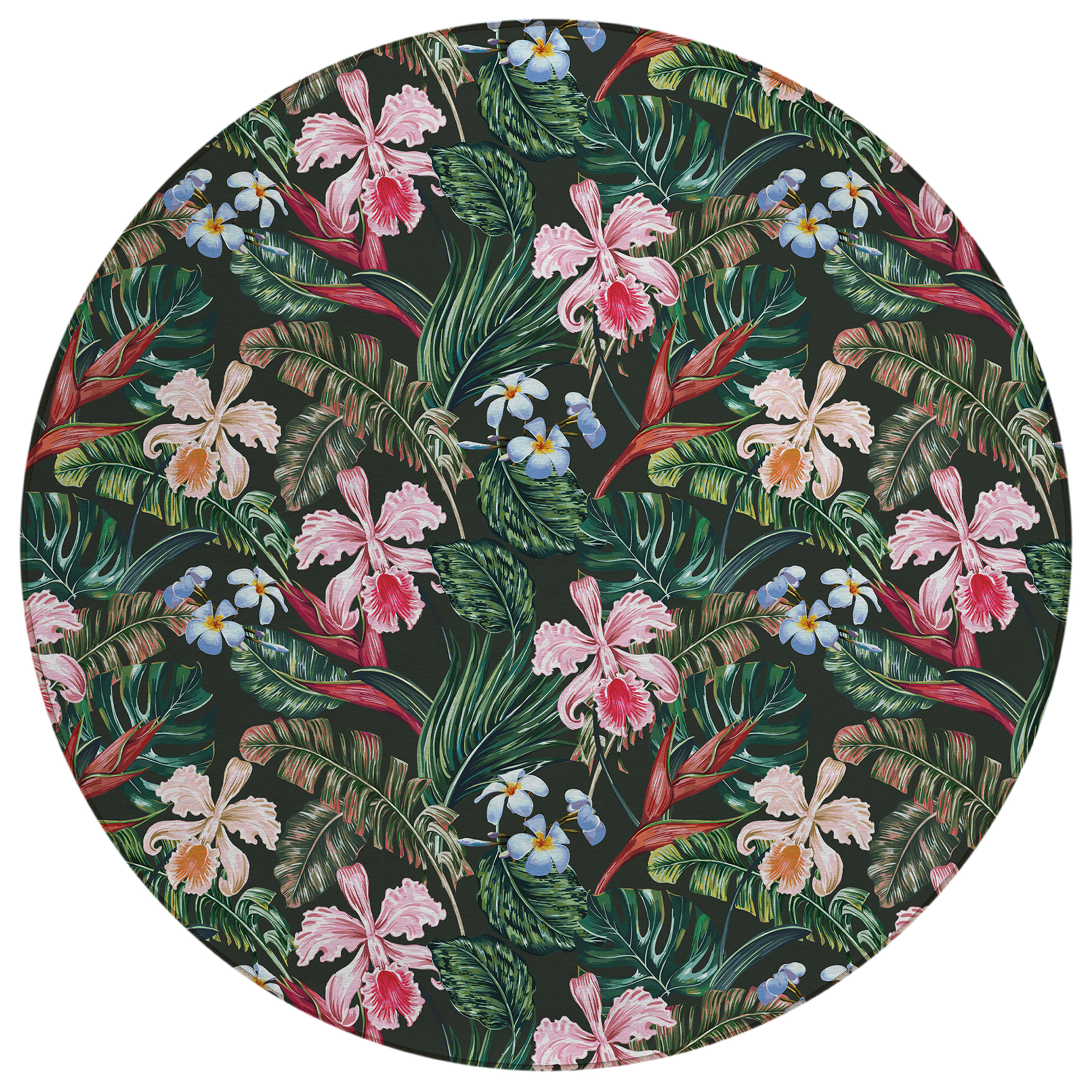 Dalyn Tropics TC6 Black Area Round Rug