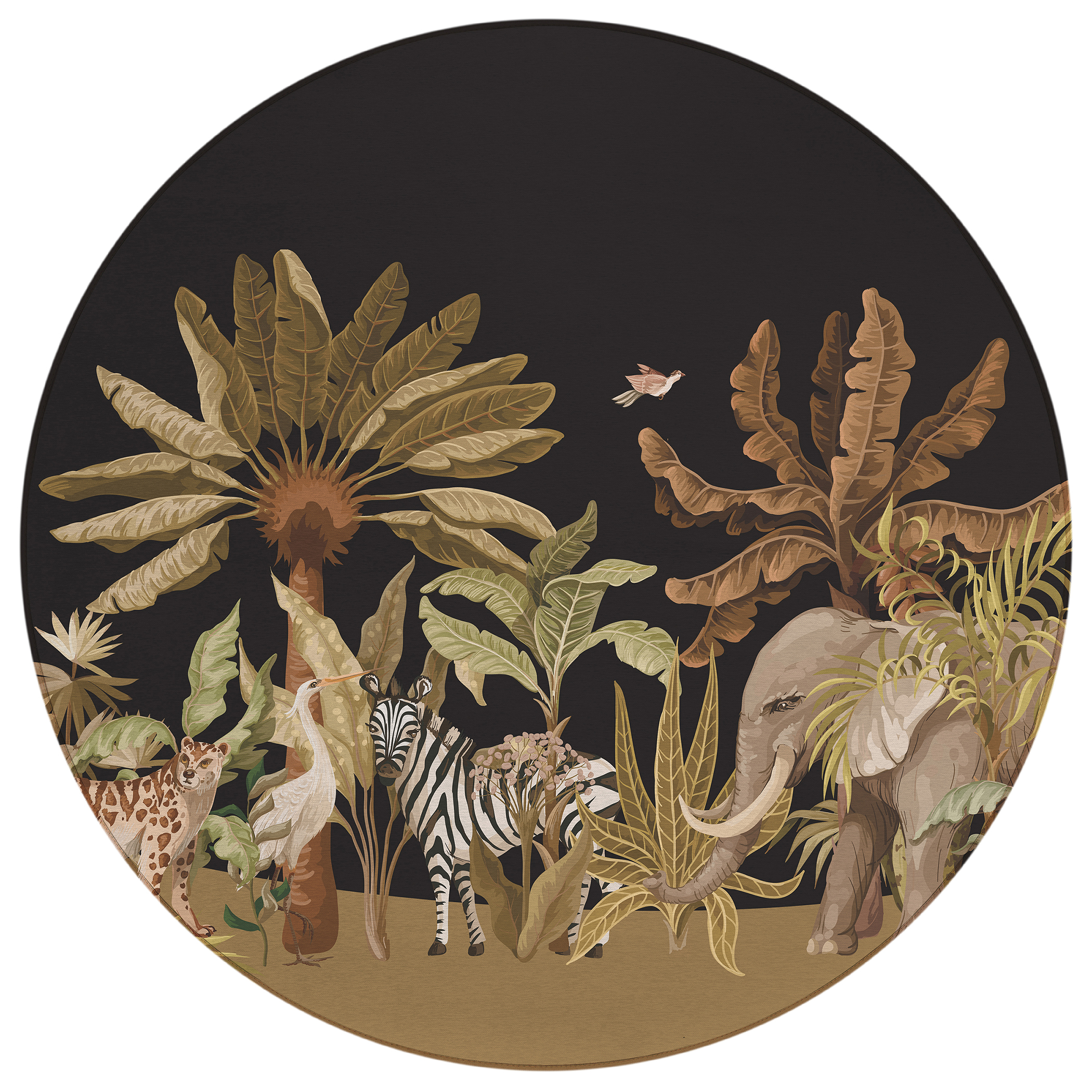 Dalyn Tropics TC8 Black Area Round Rug