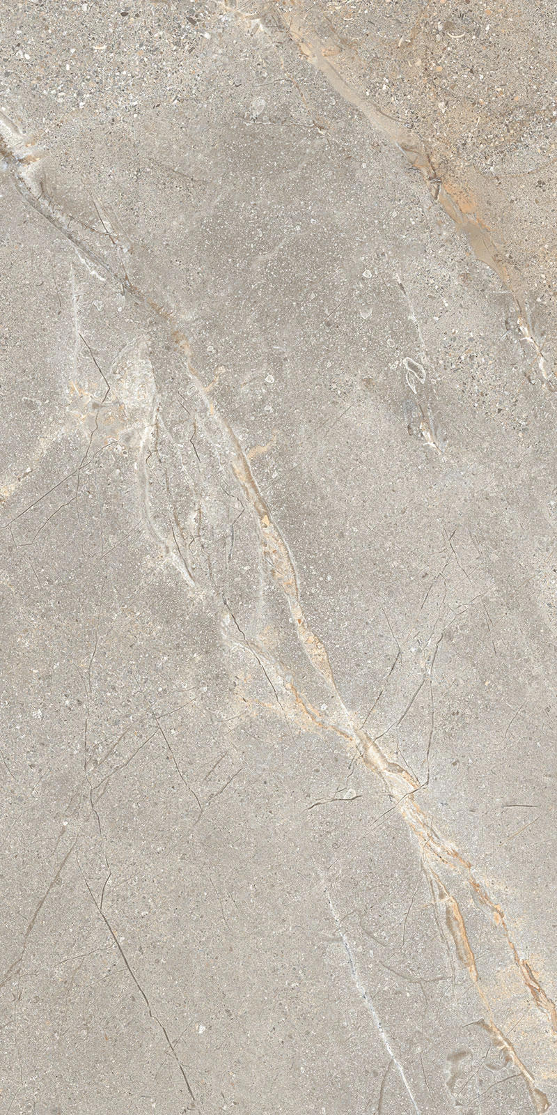 Crust Taupe 24" X 48" Porcelain Tile