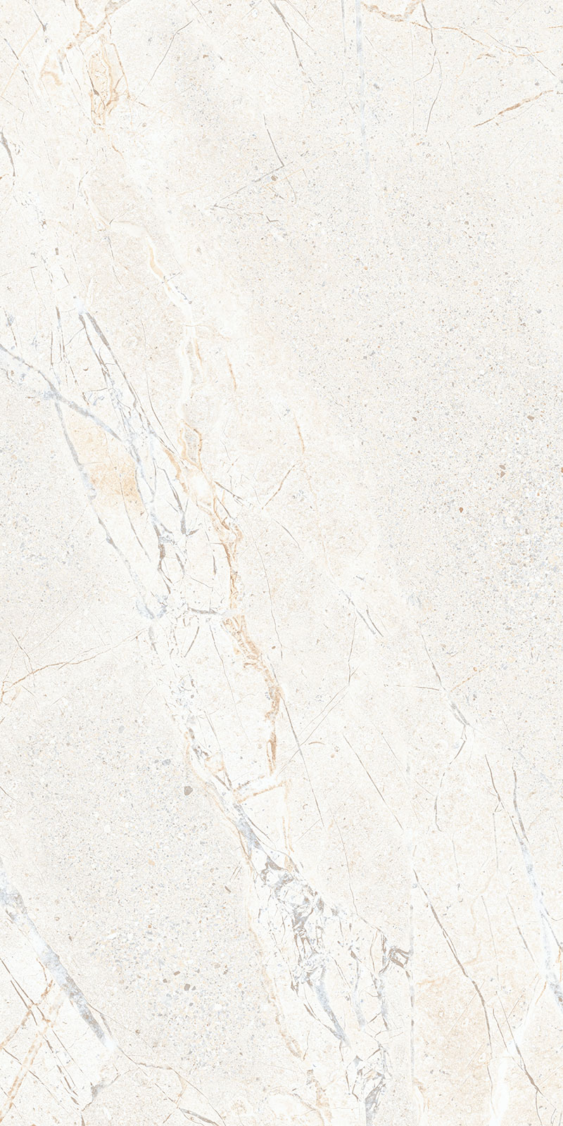 Crust White 24" X 48" Porcelain Tile