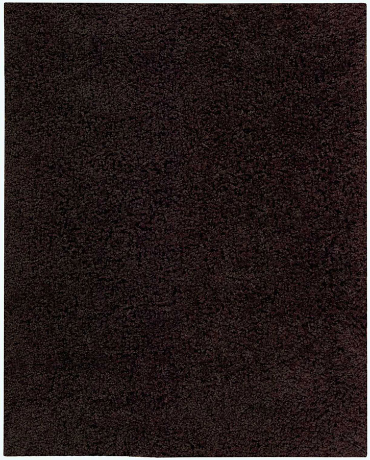 Nourison Zen ZEN01 Espresso Area Rug