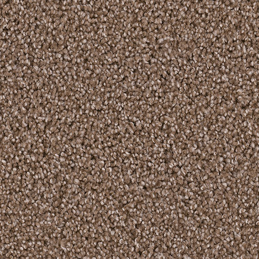 Exceptional II Tumbleweed Multi Tone carpet by Dreamweaver