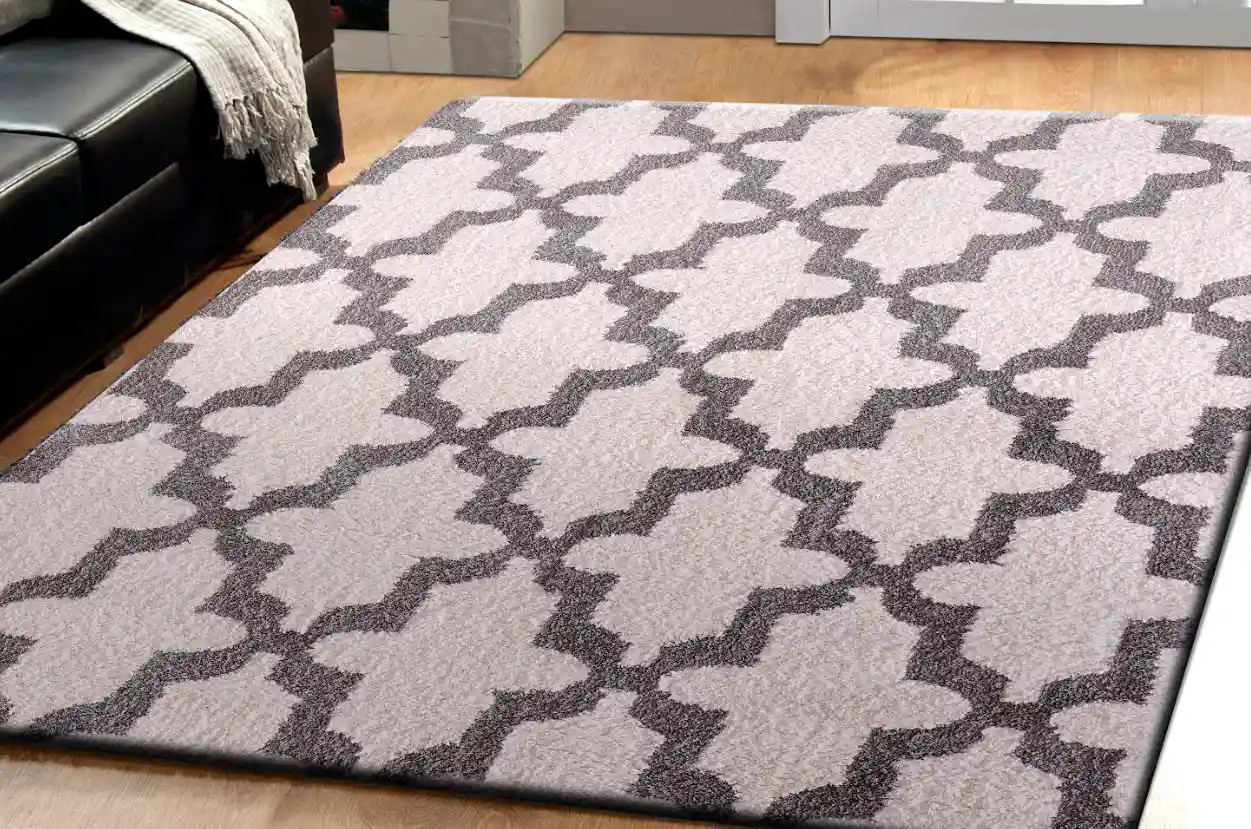 Dynamic Rugs Silky Shag 5906-110 White/Silver Area Rug Room Scene