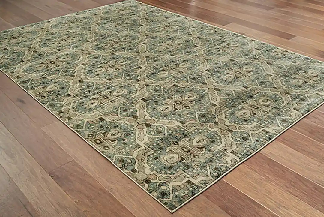 Oriental Weavers Raleigh 4927L Area Rug Room Scene