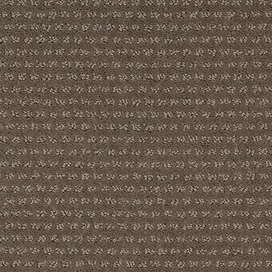 Mohawk Natural Intuition - Winter Leaf Carpet - Carpet & Tile Mart