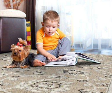 Kas Lucia 2750 Grey Artisan Area Rug | Carpetmart.com