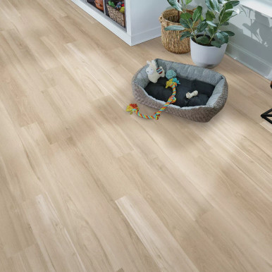 10037074_67946_219_room__61495