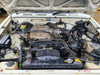 8496 - 10/95, TOYOTA VZN130 4RUNNER, 3VZ-E, 5SPD, RV6