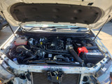 8224 - 02/19, FORD PX3 RANGER, P5AT, AUTO, XLS