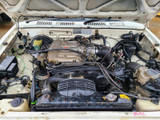 8496 - 10/95, TOYOTA VZN130 4RUNNER, 3VZ-E, 5SPD, RV6